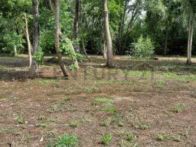 VENTA LOTE TERRENO ISLA DEL CARAGUATA DELTA TIGRE - 3