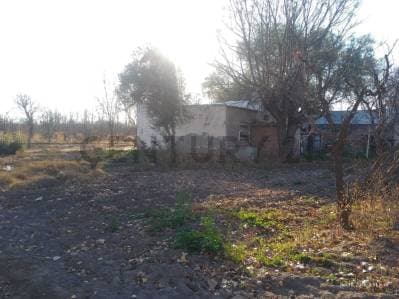 Venta de Finca en General Alvear. Productiva - Principal