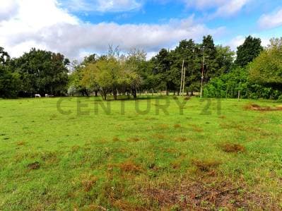 VENTA LOTE 1001M2 TORTUGUITAS CENTRO ESCRITURA - 3