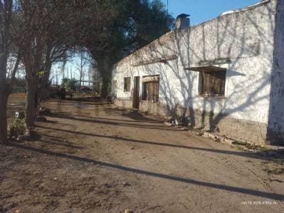 Venta de Finca en General Alvear. Productiva - 4