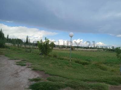 VENTA FINCA DE 16 HA, EN RUTA PCIAL 165, SAN RAFAEL, MENDOZA - 4