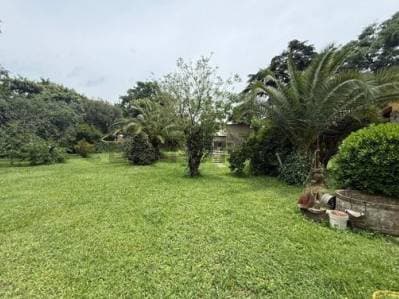 Lote 1200 M2 - Principal