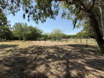 Lotes en Arana , 646 20 y 22 a metros del asfalto - 5