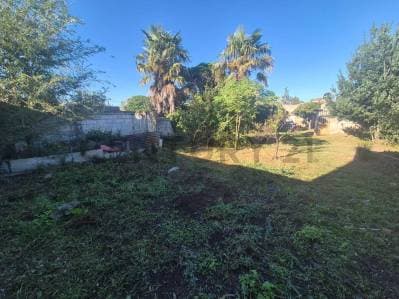 VENTA CASA 2 AMBIENTES CON AMPLIO PATIO Y GALPÓN EN OLAVARRÍA - 5