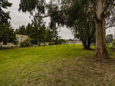 Lote en venta - Principal