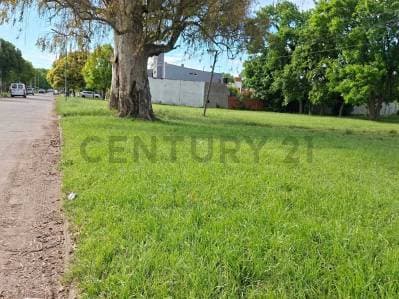LOTES EN PH A LA VENTA EN FINCAS DE LORENZO - Principal