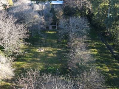 LOTE EN VENTA EN LA PLATA - 2