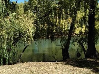 Terreno en RUFINA Etapa I Cervantes - Principal
