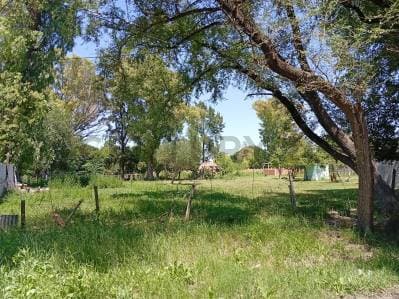139 ENTRE 524 Y 525 - TERRENO EN VENTA DE 3597M2. SAN CARLOS, LA PLATA. - 4