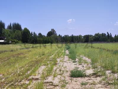Lote en venta Colonia Las Rosas - 5