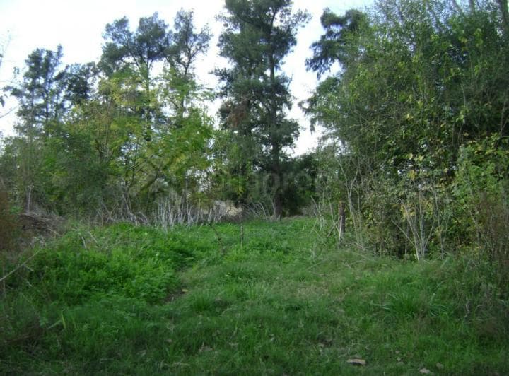 8 Lotes en Lobos - 2