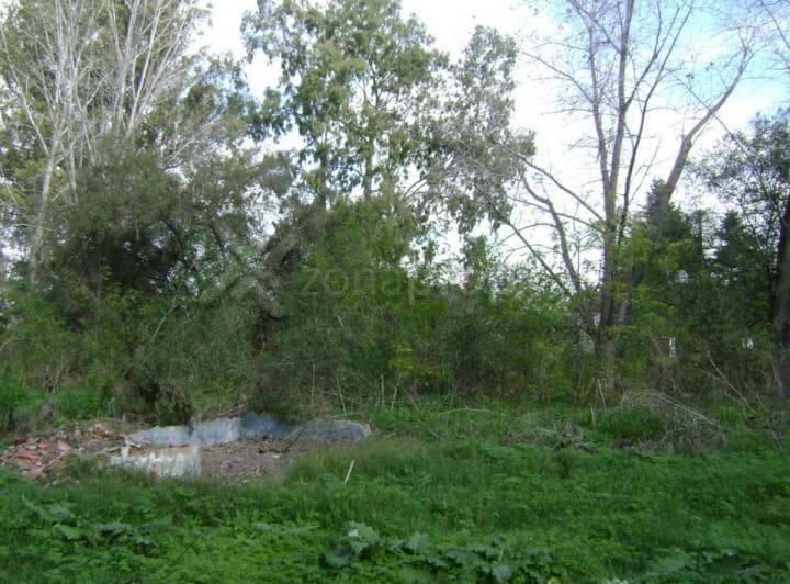 8 Lotes en Lobos - 4