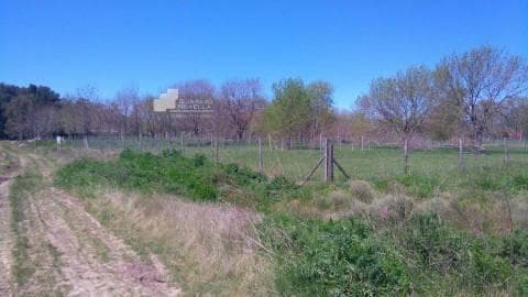 Lotes en Venta Lomas Altas - 5