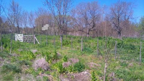 Lotes en Venta Lomas Altas - 4