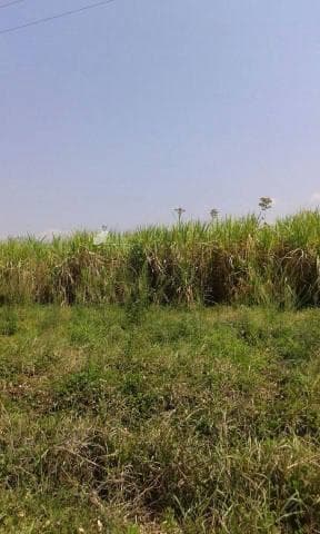 Lotes en Venta Lomas Altas - 2