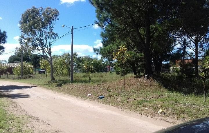 Lote. | Jujuy - 2