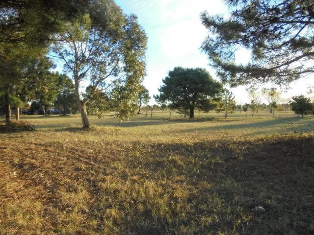 Lote. | Jujuy - 5