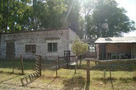 Las Flores, 15 Ha - 2