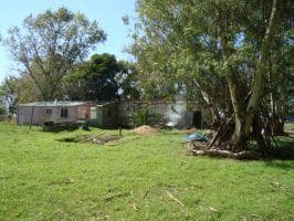 Las Flores, 15 Ha - 4