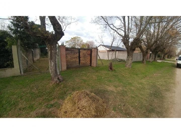 ´lote Baldio - 3