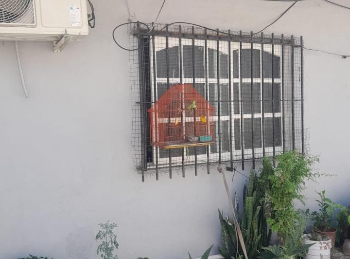 Excelente Oportunidad Para Inversores. Tres Viviendas en un Mismo Lote - 5