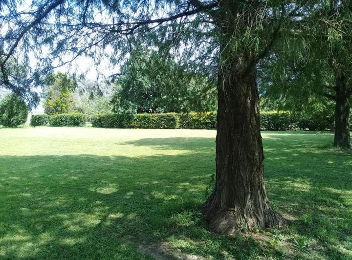 Terreno - San Lorenzo - 4