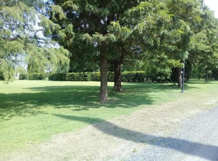 Terreno - San Lorenzo - 3