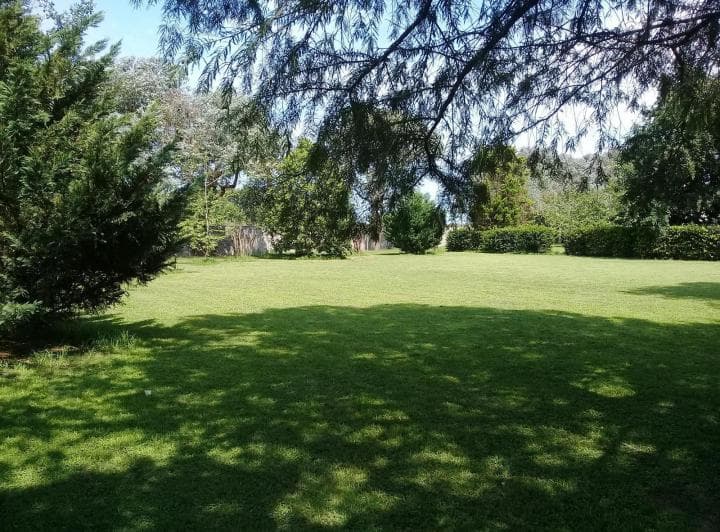 Terreno - San Lorenzo - 5