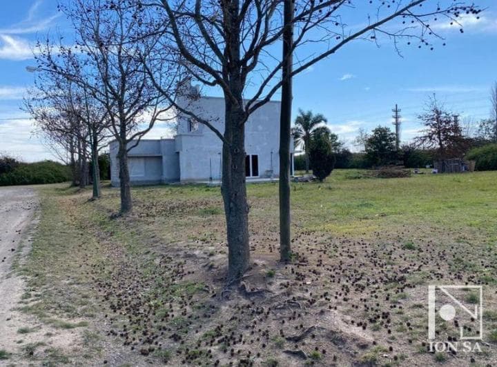 Lote en Plaza Grande - 2