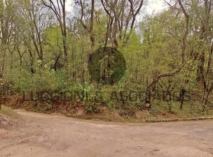 En Venta Terreno - Eco Urbanización Horco Molle Bº Los Perales - 5