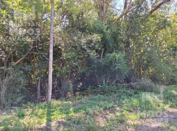Terreno en Venta con Financiación Garin. - 3