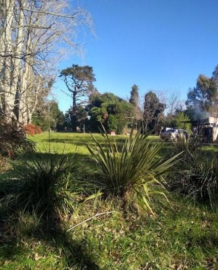 Lote La Armonia - 5