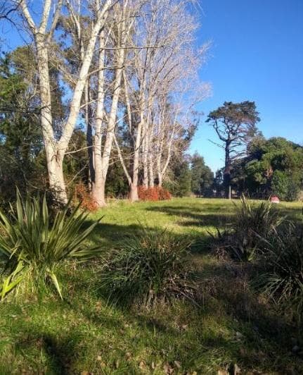 Lote La Armonia - 4