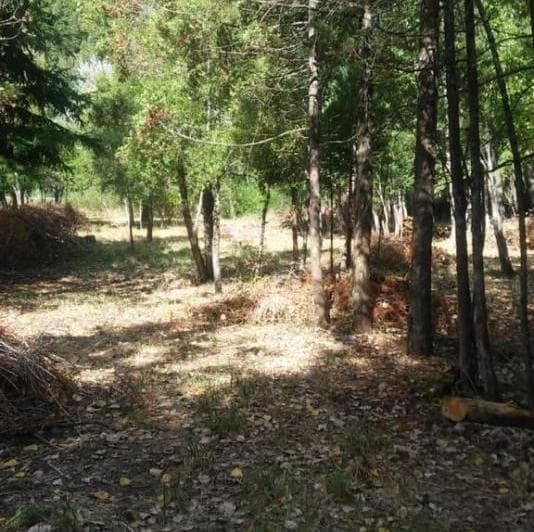 Importante Lote de Terreno en Lago Puelo - Chubut - 2