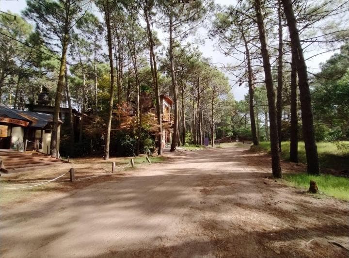 Lote. | Alberto Gernuchoff - 3