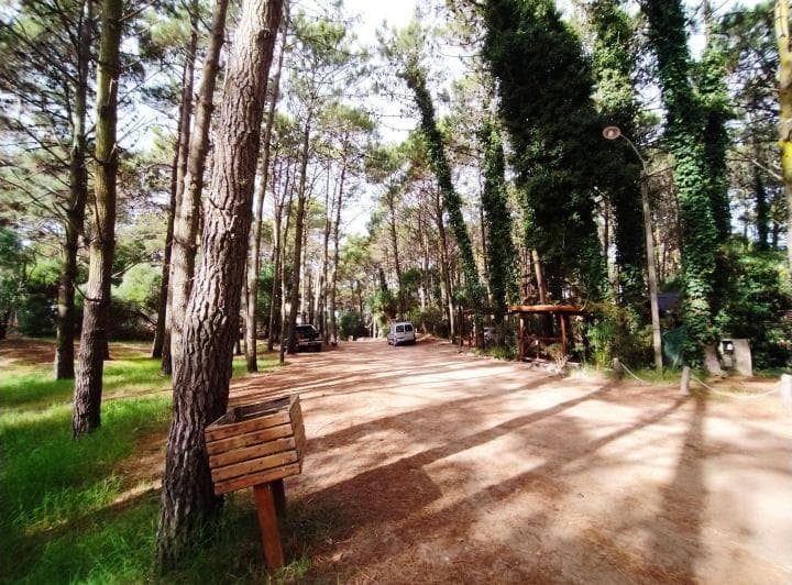 Lote. | Alberto Gernuchoff - 4