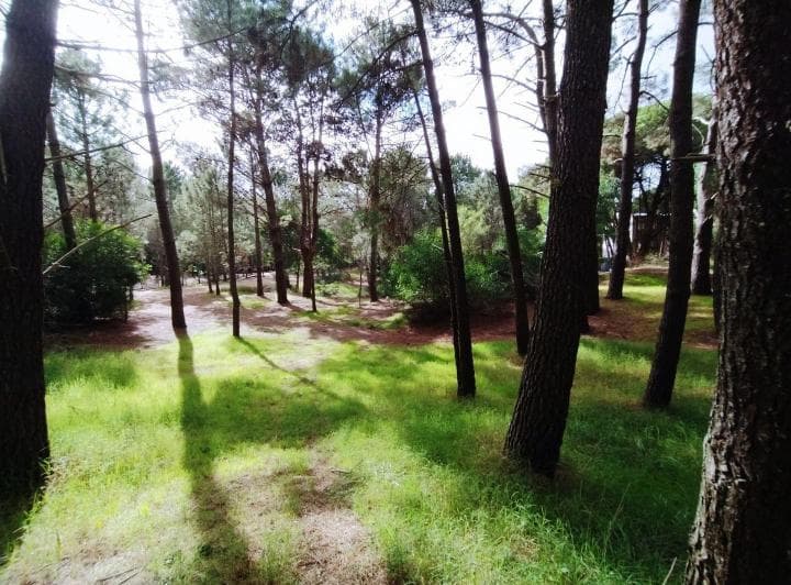 Lote. | Alberto Gernuchoff - 2