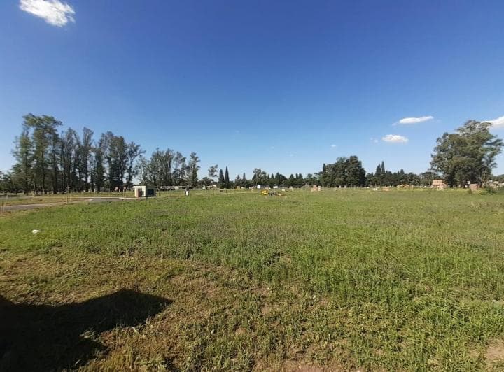 Venta Lote Central Barrio Santa Sofia Pilar del Este, Pilar - 3