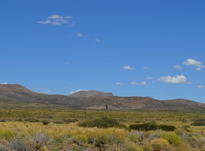 3750 Ha en Venta - Ganaderas - Ranquilon - Neuquen - 5