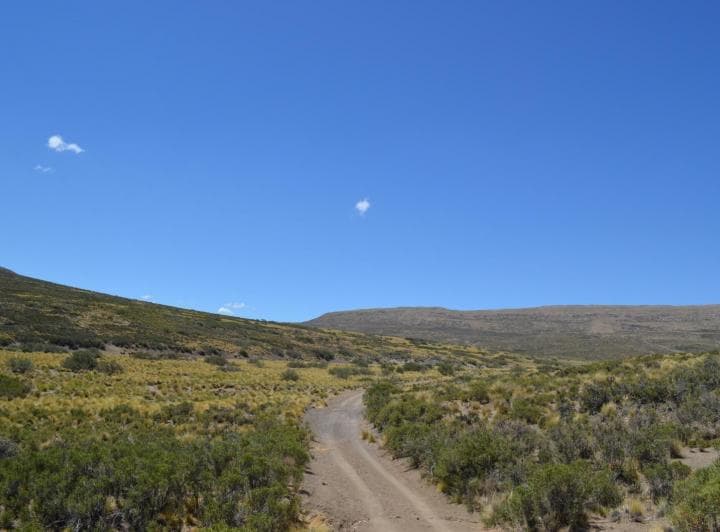 3750 Ha en Venta - Ganaderas - Ranquilon - Neuquen - 3