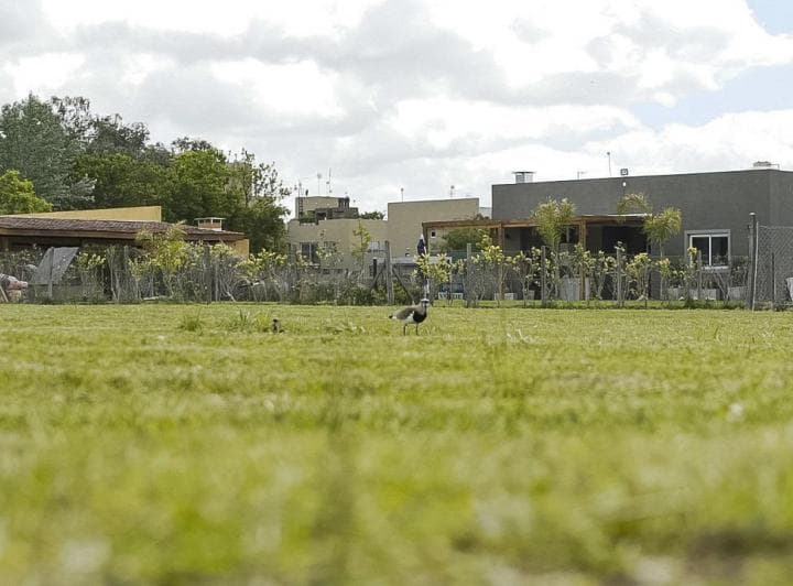 Lote en Venta en Barrio El Aljibe, Pilar, G. B. a. Zona Norte - 5