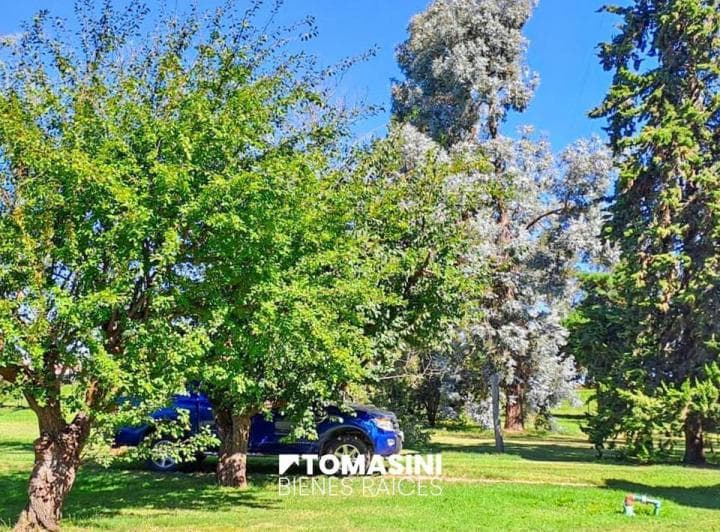 Campo Agricola en Venta - 12 Ha en Necochea - 3