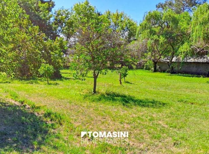 Campo Agricola en Venta - 12 Ha en Necochea - 5
