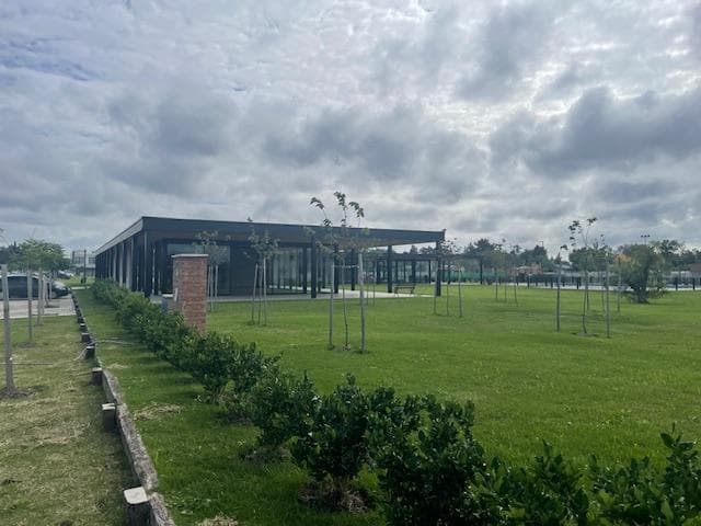 El Olivar - 3
