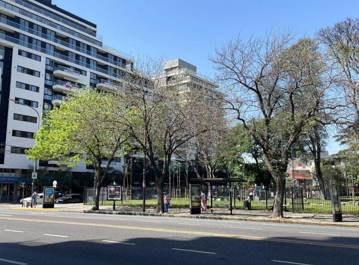 Importante Local Frente a Plaza Los Andes - 4