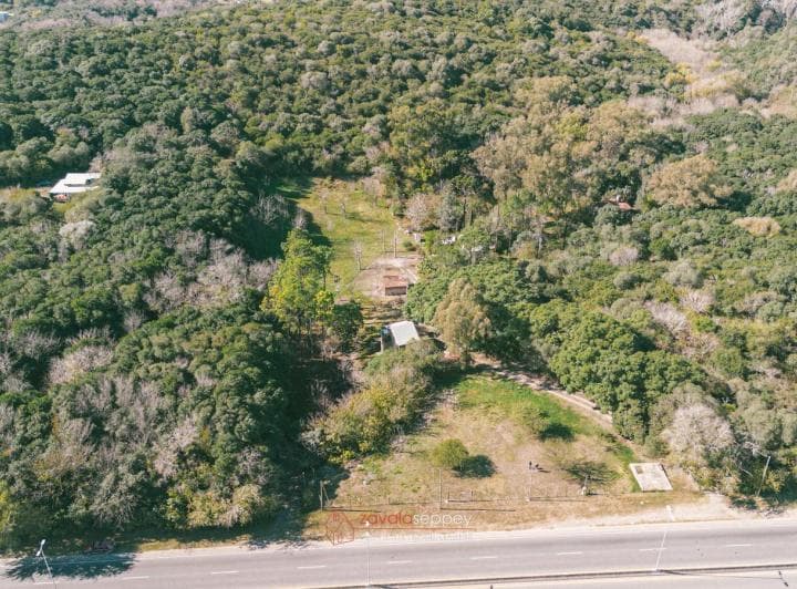 Venta Gran Fracción 18000 m² Ruta E - 53 Salsipuedes - 3