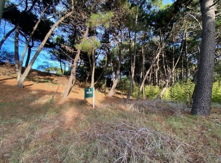 Terreno en Pinamar Norte 215 /6 - 3