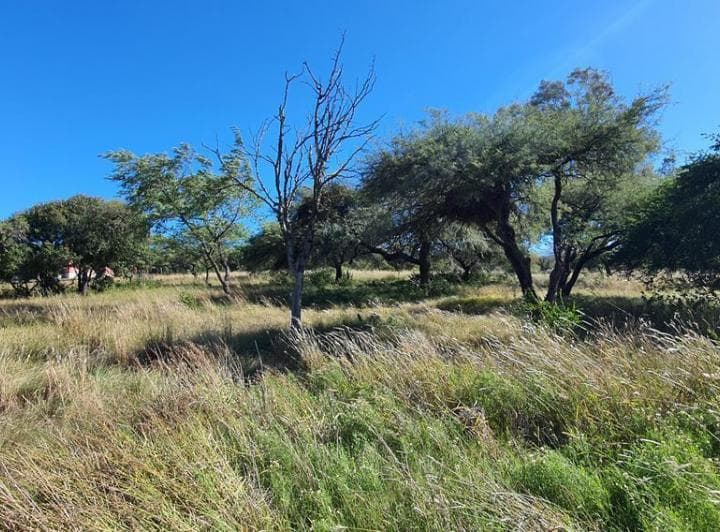 Terreno en Falda del Carmen! - 2