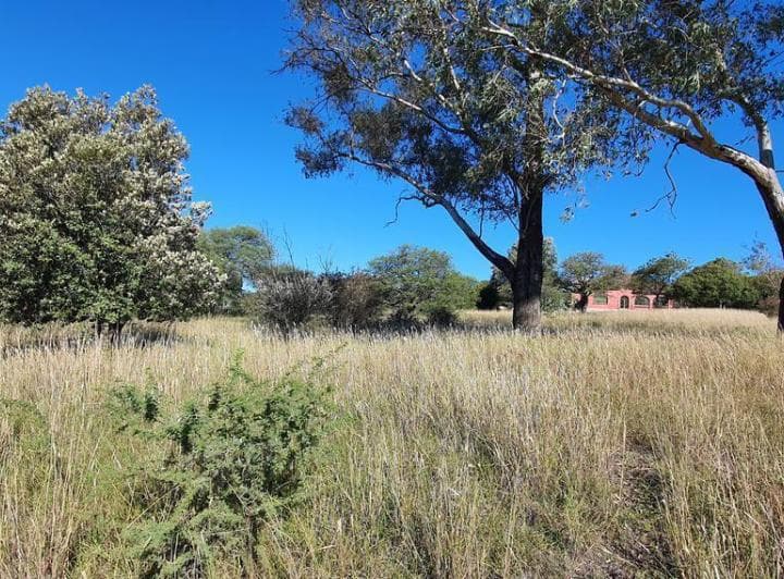 Terreno en Falda del Carmen! - 5