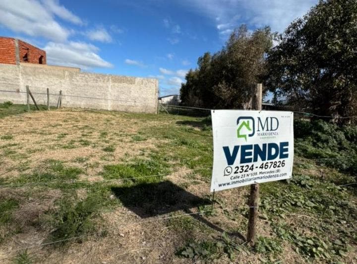 Lote en Calle 58 (15 y 13) con Luz y Gas - 3